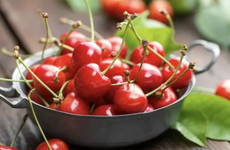 The Amazing Health Benefits of Cherries: Nature’s Little Miracle