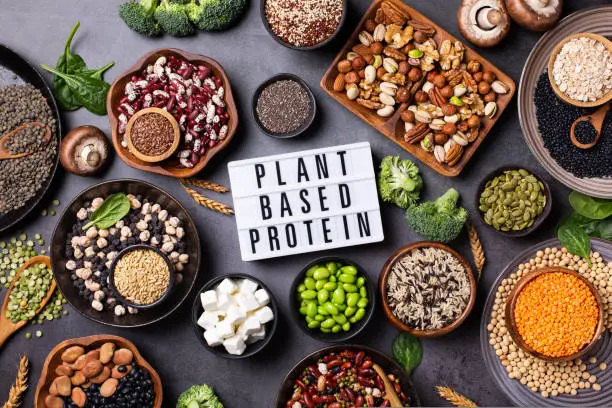 Unlock the Power of Plant-Based Proteins: Top Meatless Options for Vegetarians and Flexitarians